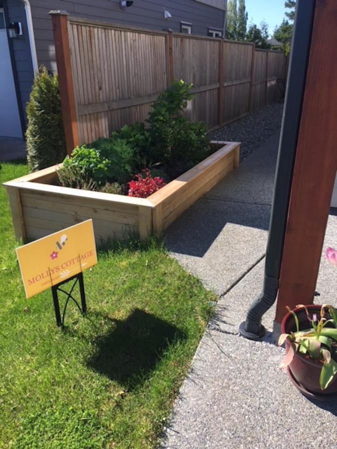 Mollys Cottage-The Suite On Vancouver Island Near Yyj Airport And The Wa And Bc Ferries North Saanich 外观 照片